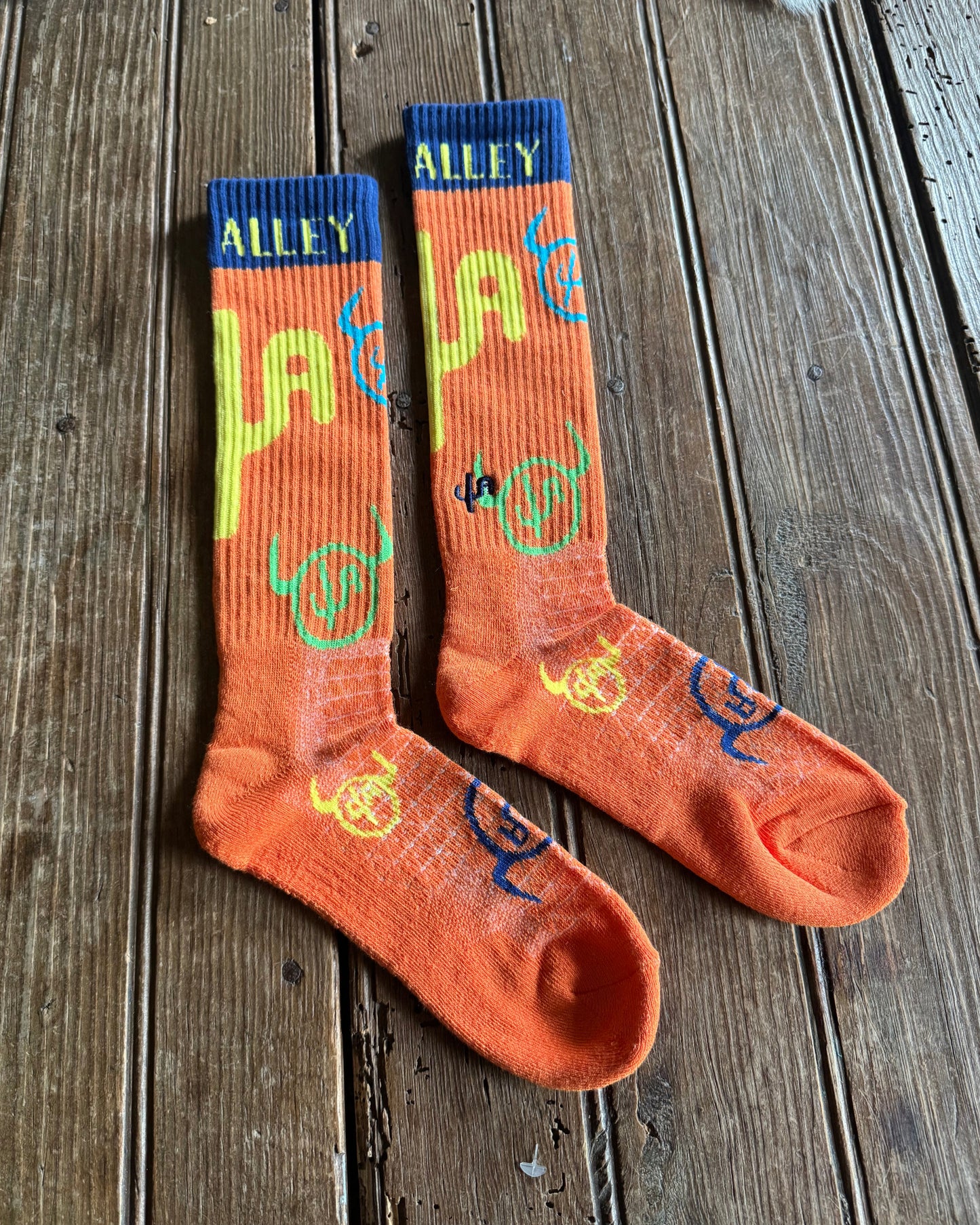 Cactus Alley - Moo Cactus (Orange) on rustic wood background