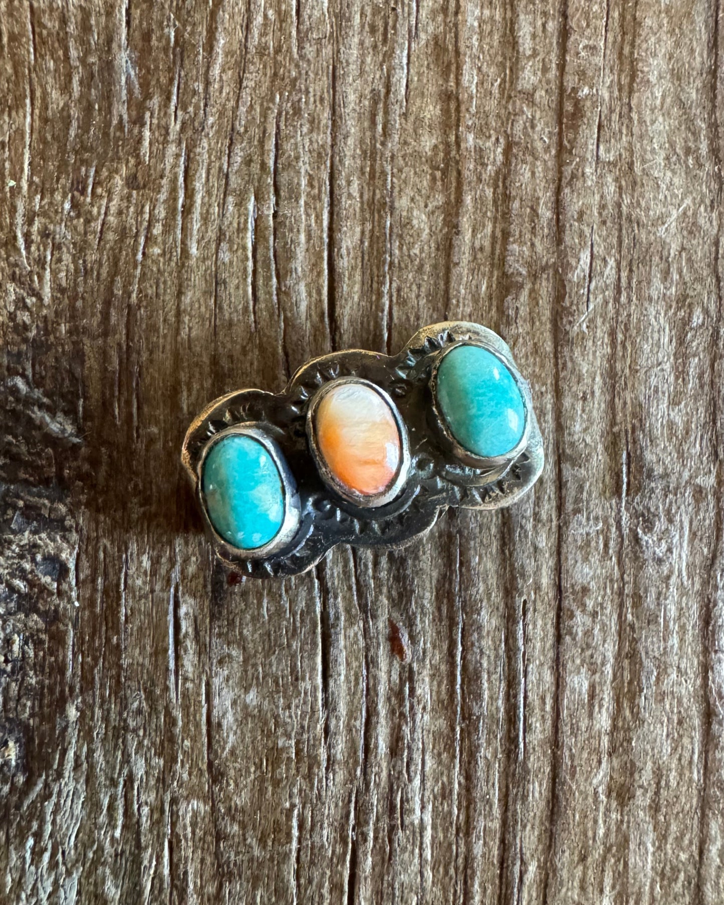 turquoise and spiny watch slide 1 on rustic wood background