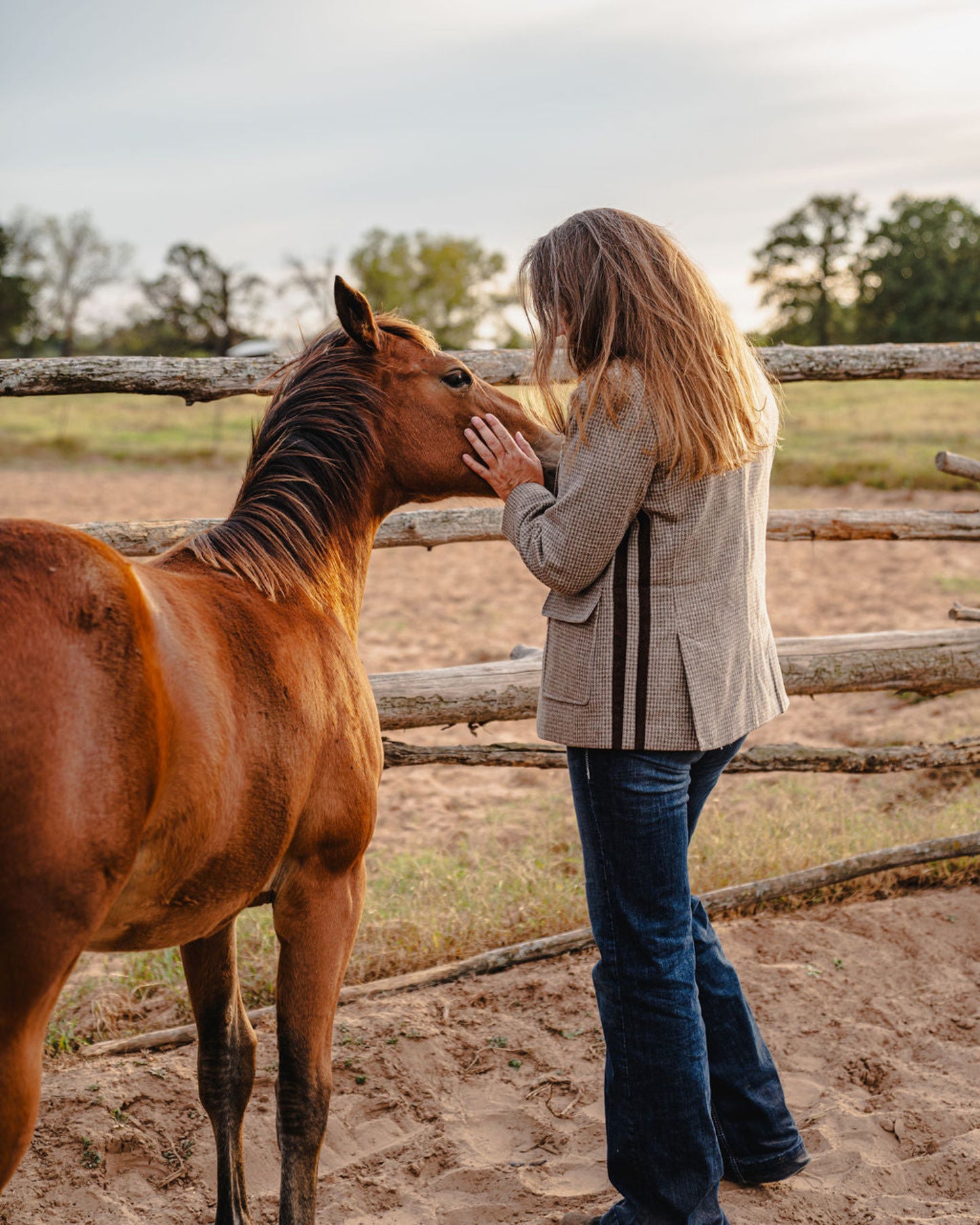 Woman petting a horse in an outdoor setting with a wooden fence and trees in the background.