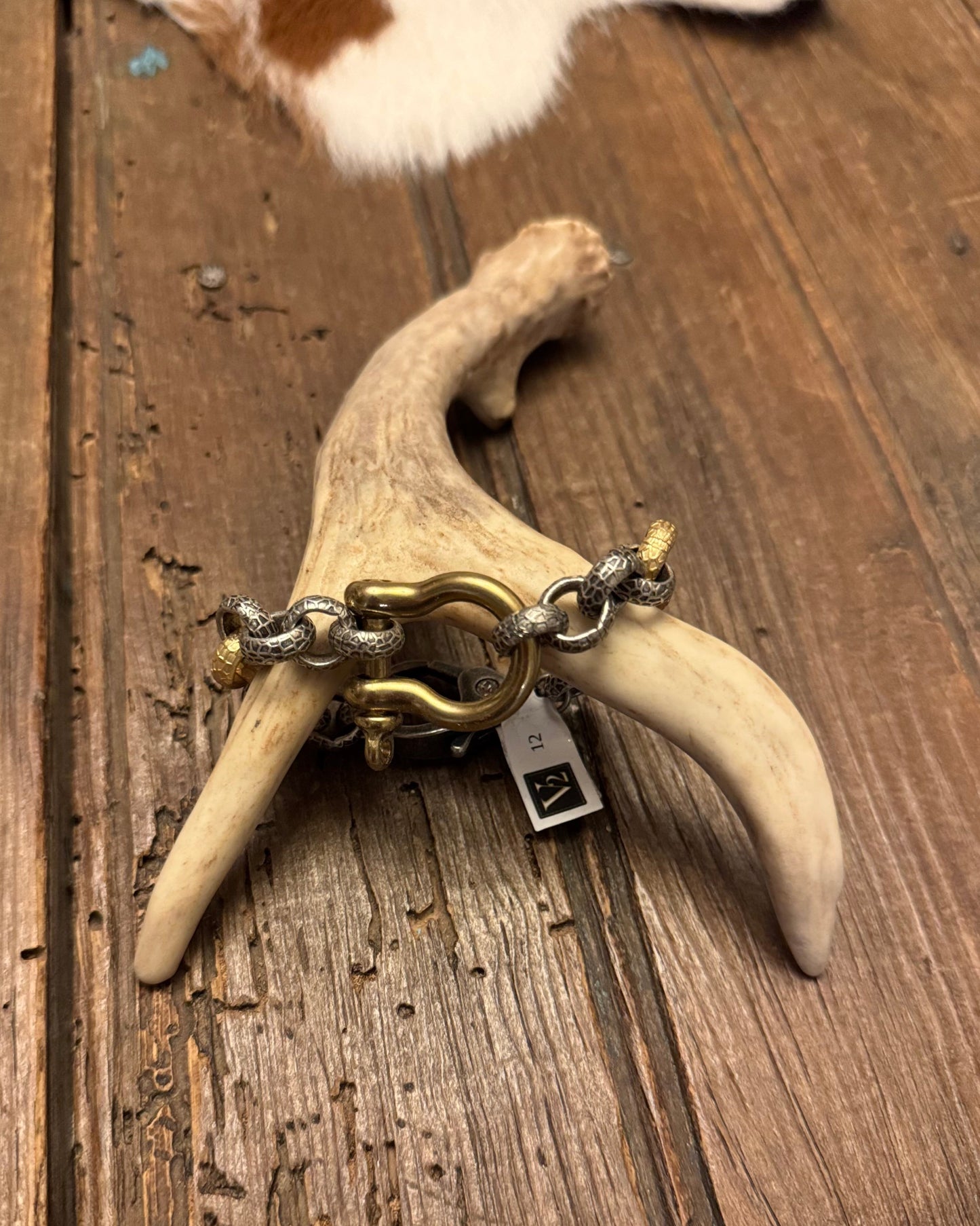 Antler with a chain on a wooden surface