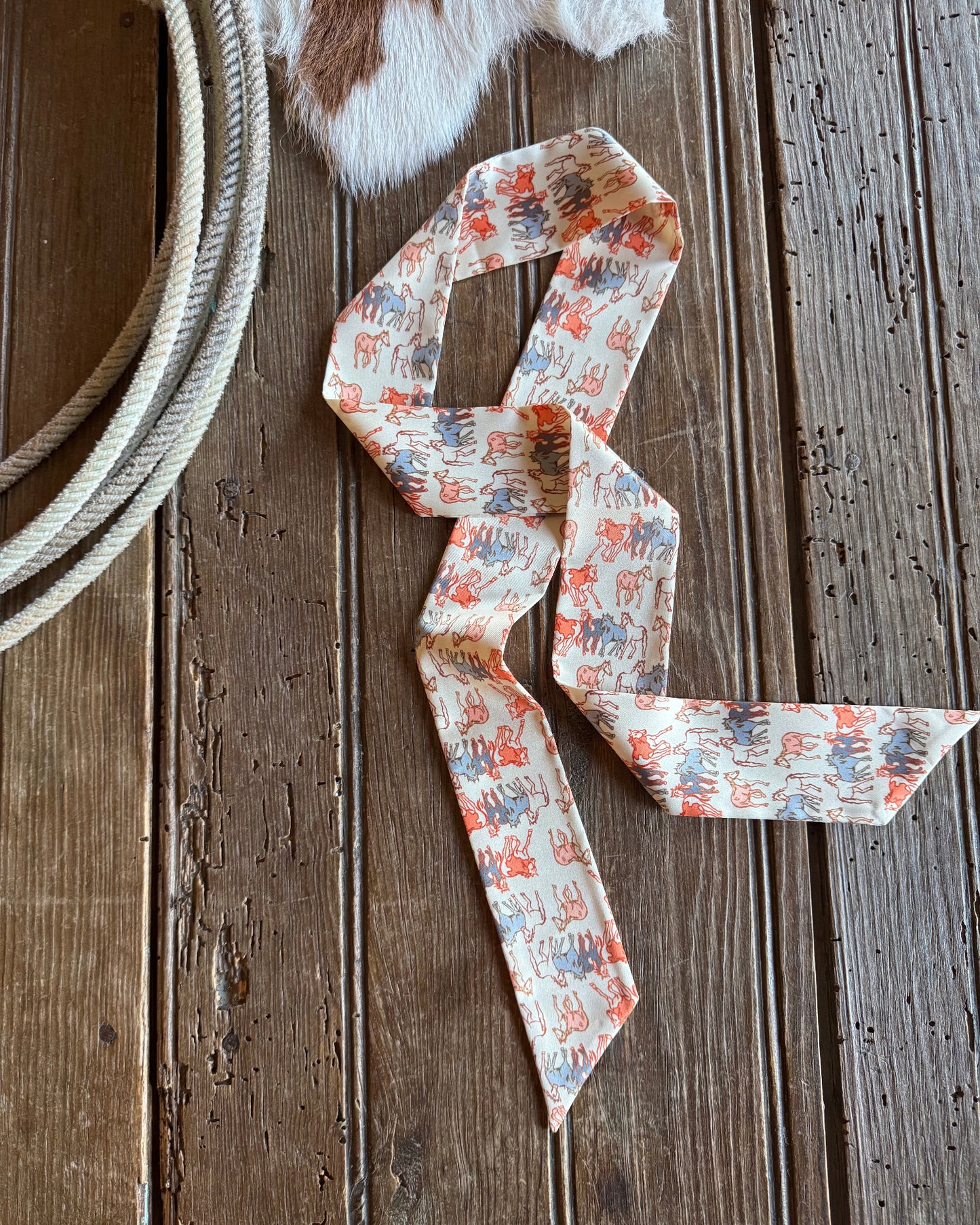 horse ribbon scarf on rustic wood background with lariat rope