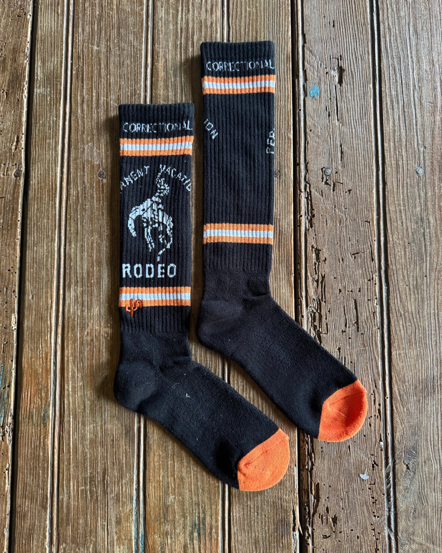 Cactus Alley - Correctional Vacation Performance Socks (Black) on rustic wood background
