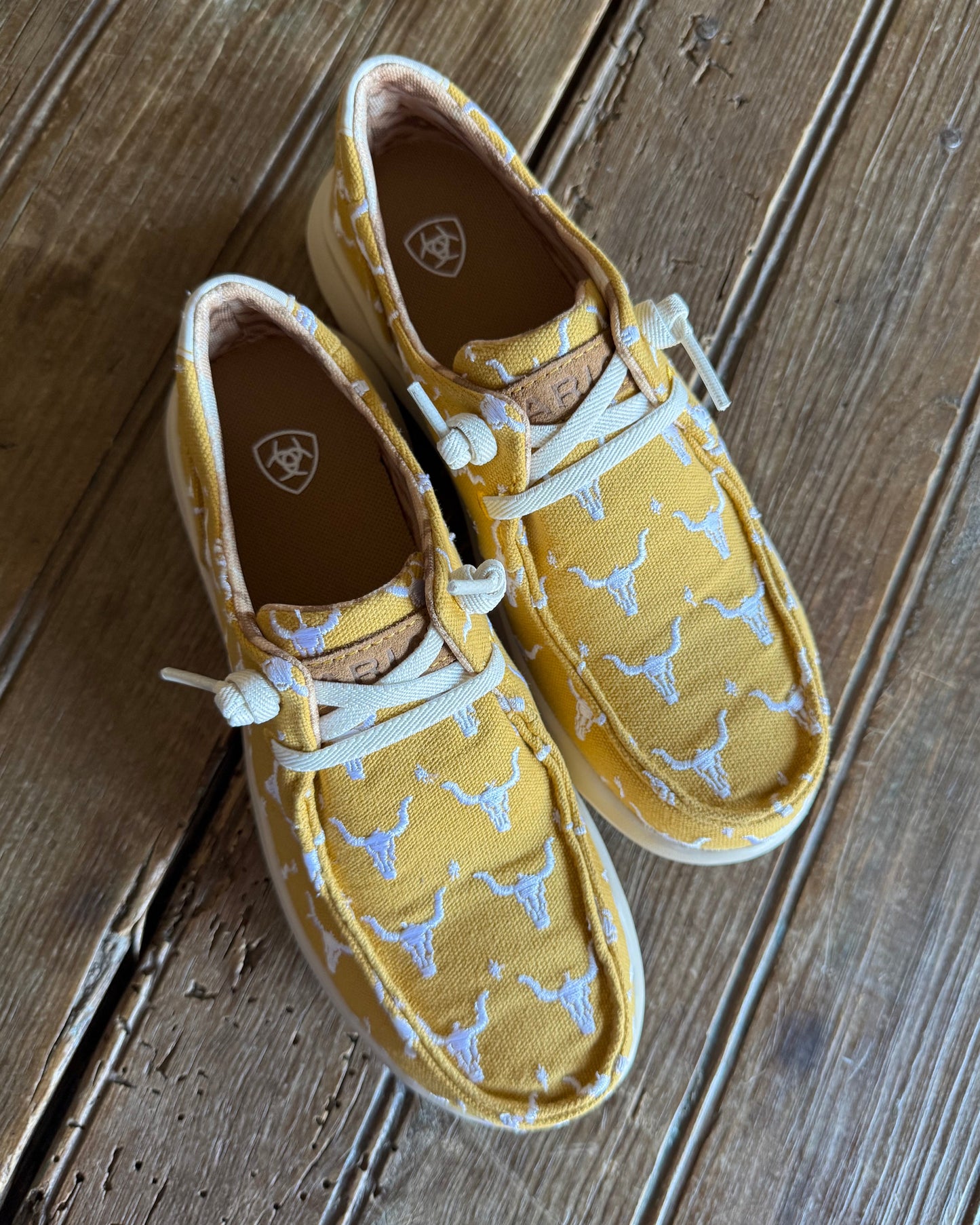 top view of embroidered steer head sneakers on rustic wood background