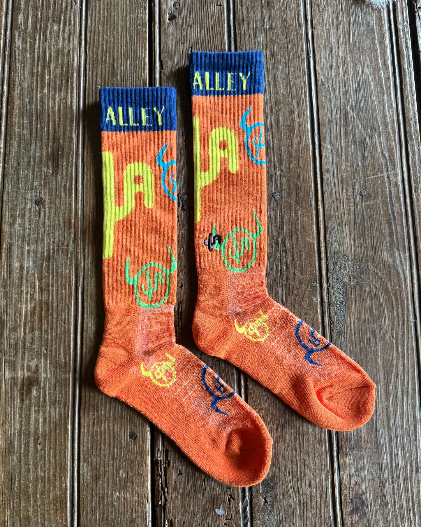 Cactus Alley - Moo Cactus (Orange) on rustic wood background