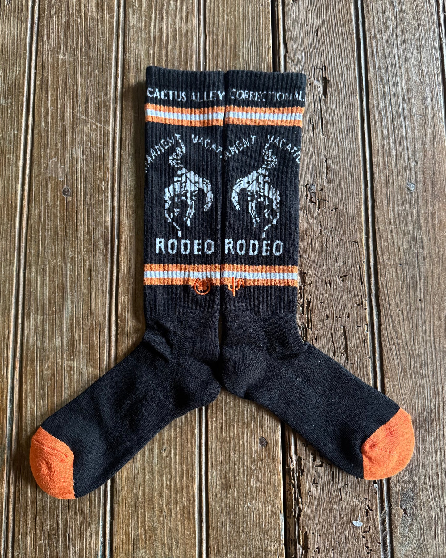 Cactus Alley - Correctional Vacation Performance Socks (Black) on rustic wood background