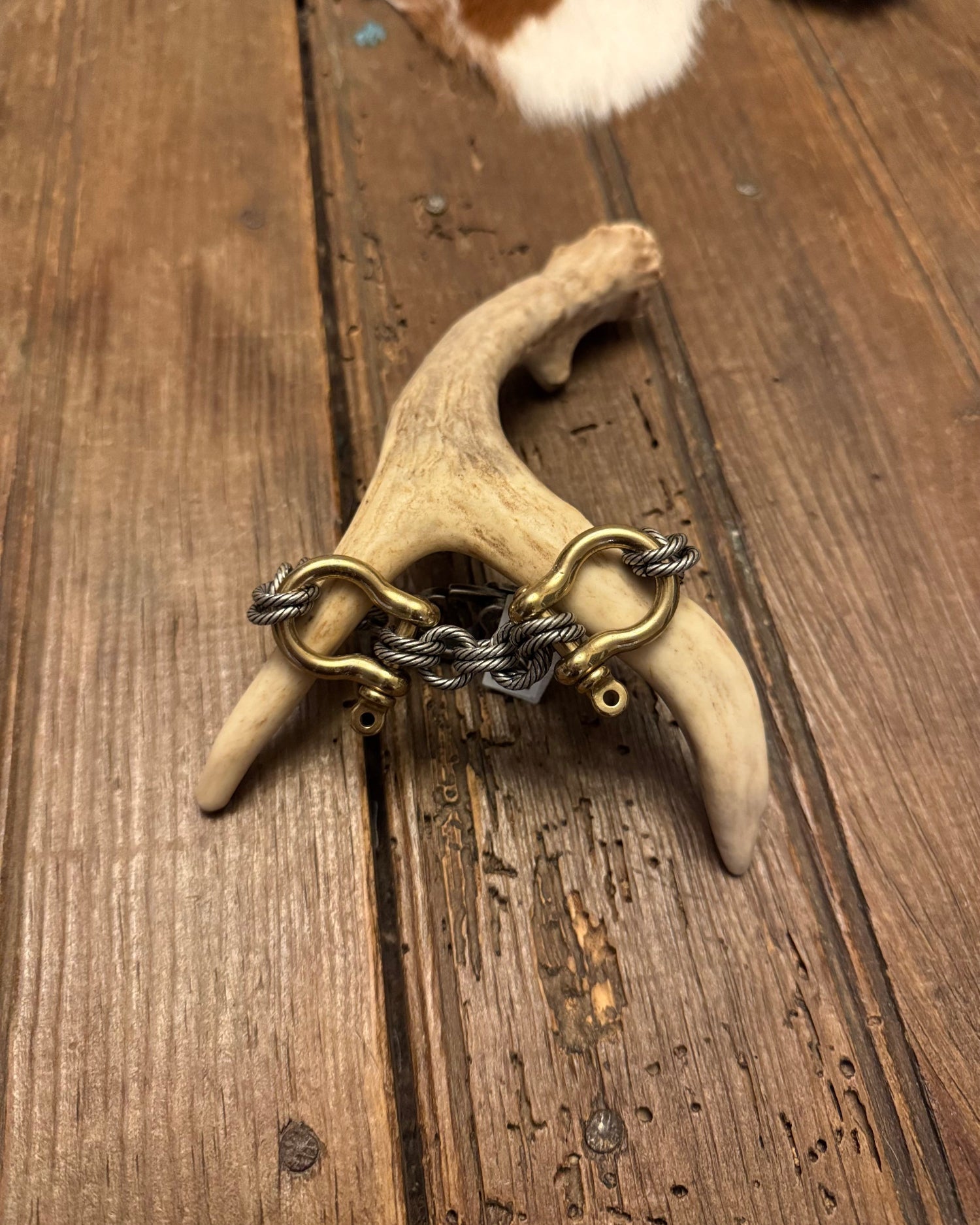 Decorative item with a chain on a deer antler on a wooden surface