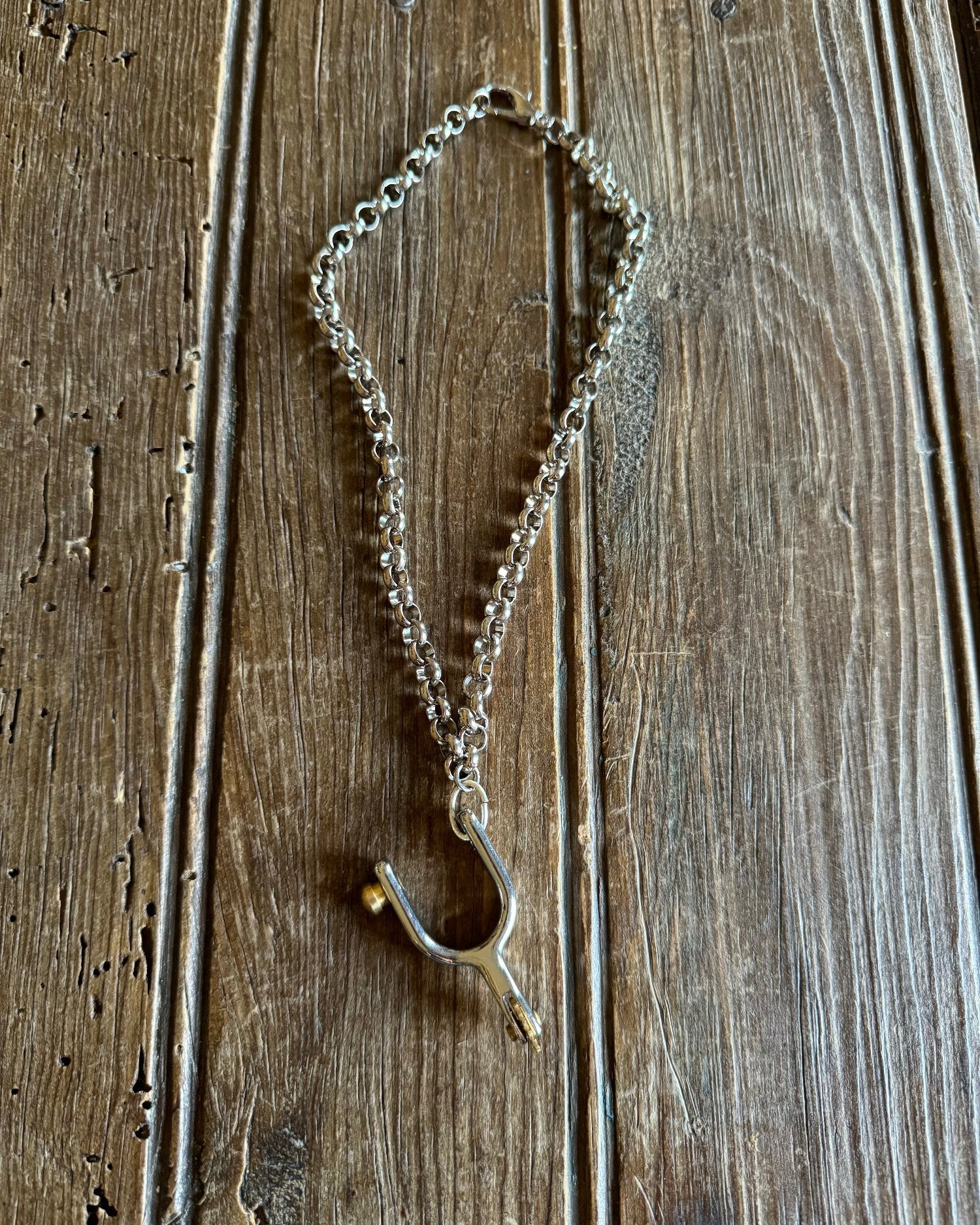 Sheridan Spur Necklace