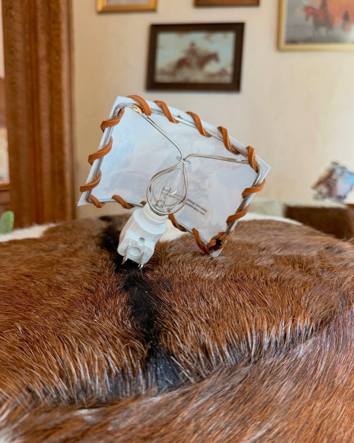 A close-up of a brown and black fur pelt with a small white plastic light fixture wrapped in tan cord, mounted on the fur.