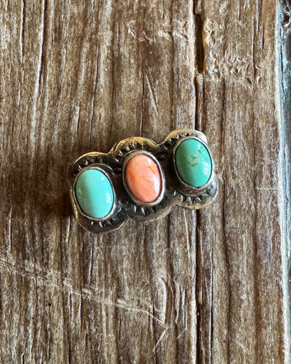 turquoise and spiny watch slide 5 on rustic wood background 