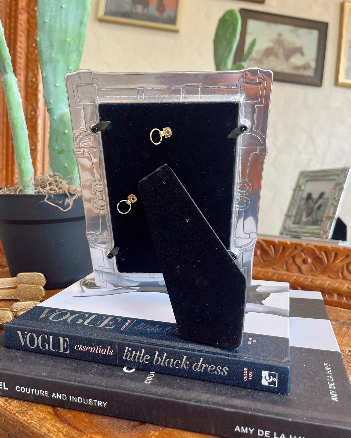 Black earrings in a clear display case on top of books with a cactus plant in the background.