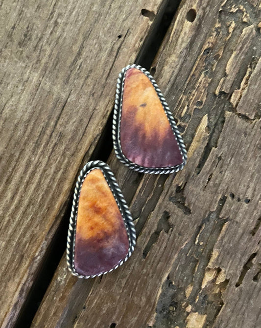 Orange & Purple Spiny Earrings